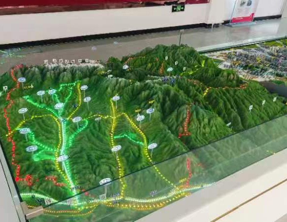 ����ɳ�P������˾